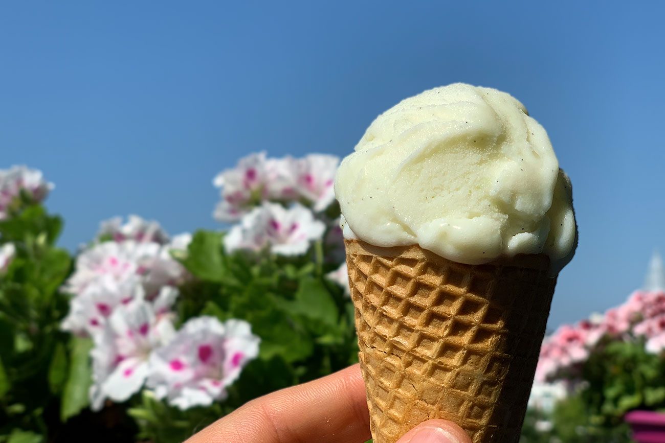 Karnemelk-limoen-vanillie ijs